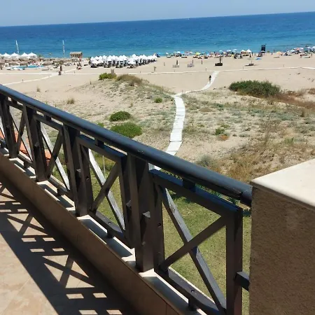Oasis Four * Łozenec